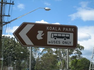 KOALA　PARK　ADVENTURE