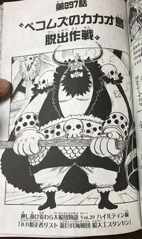 One Piece あの巨人が やはり麦わらの一味に加担 Dr でぶ ブログ でぶログ