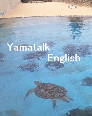 カメにもいろいろ Turtleとtortoiseの違いは 東京オンライン英語教室のyamatalk English でジョリーフォニックスも習えます