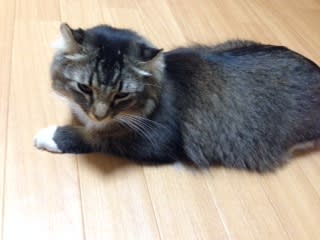 こんなコールって初めて！