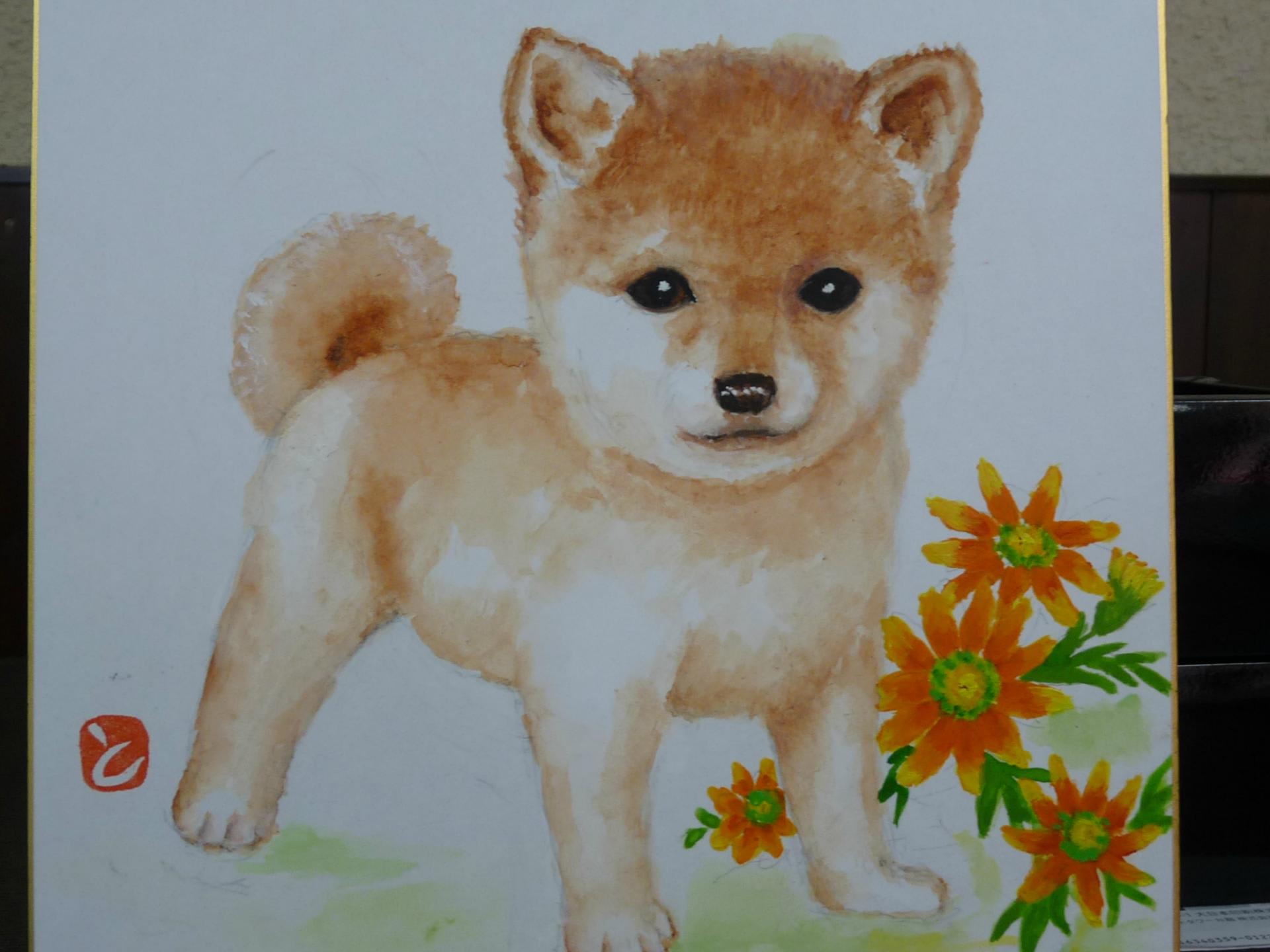 とよこの絵可愛い柴犬の子犬描けました もこもこふわふわくん