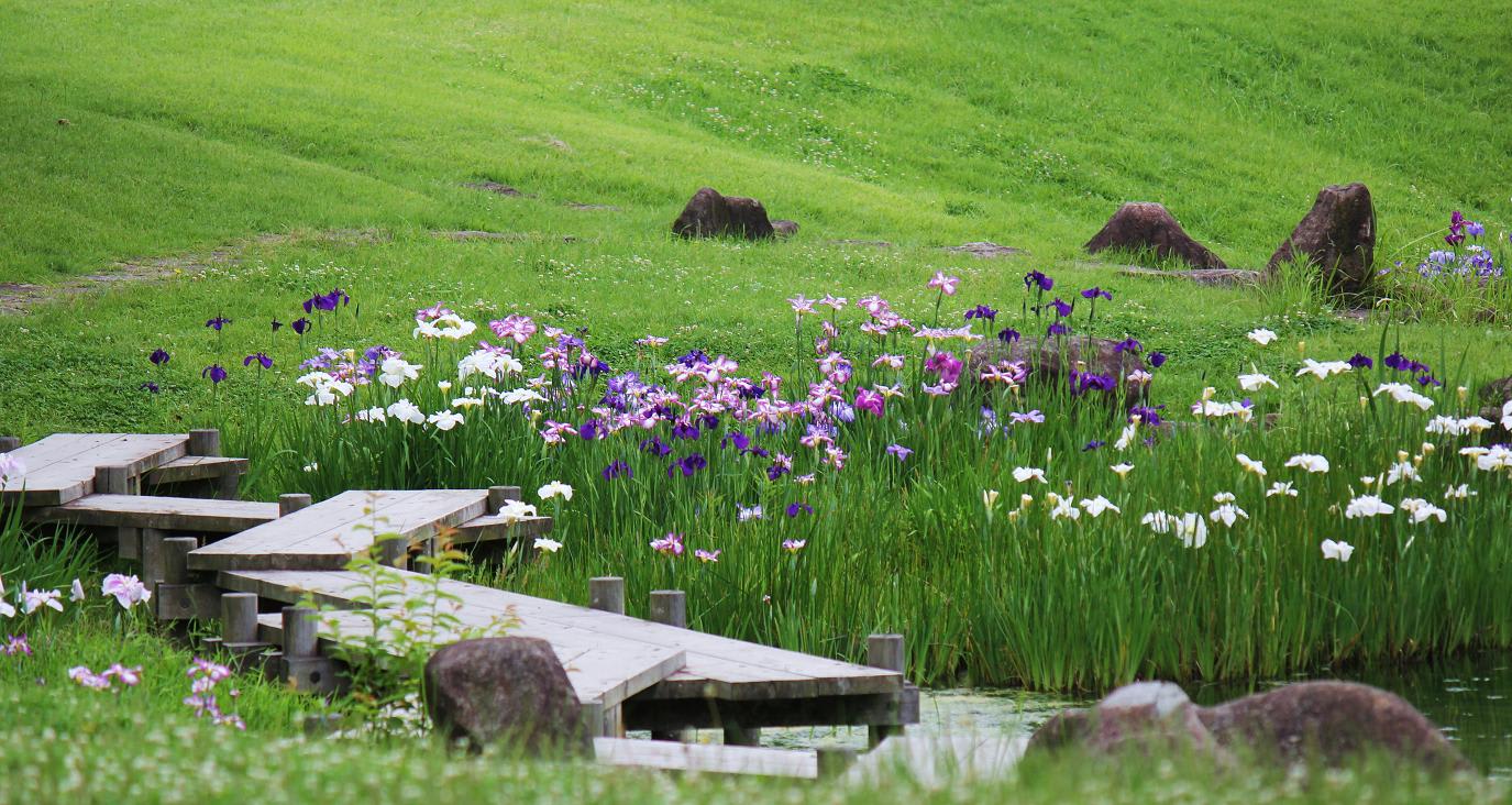 於大公園の画像