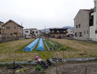 地盤調査2