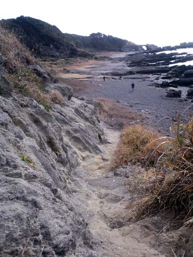 城ヶ島灯台 水仙ロード あられの日記