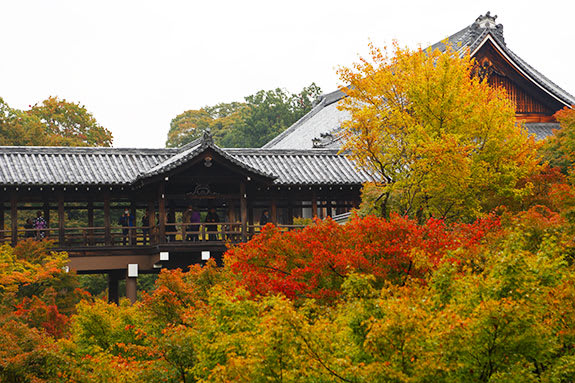 京都 東福寺 秋の始まり きゃおきゃおの庭