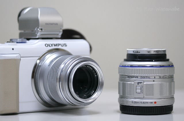 オリンパス　Olympus 45mm 1.8 レンズ　＋レンズフード