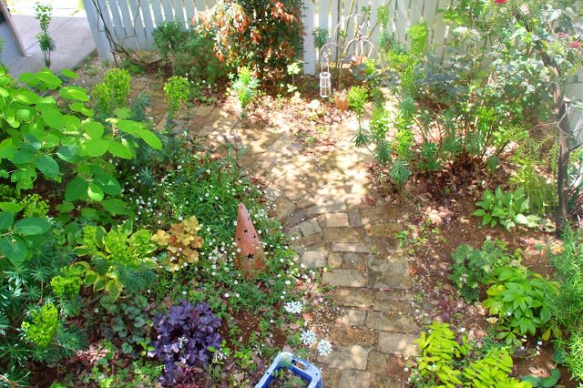 庭 デザイン 小道 いろいろ 有機栽培 無農薬の庭づくり ガーデンカウンセラーたみこさんのブログ