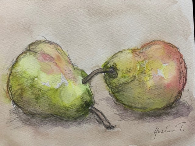 洋梨を画いてみました 絵入り随筆 エッセィ つぶやき 洋梨を画いてみました 絵入り随筆 エッセィ つぶやき