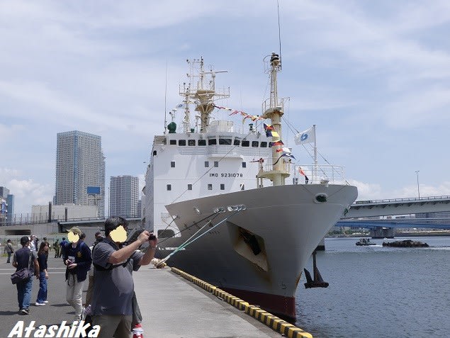 19東京みなと祭報告 練習船 海鷹丸 新鹿山荘控帳 19東京みなと祭報告 練習船 海鷹丸 新鹿山荘控帳