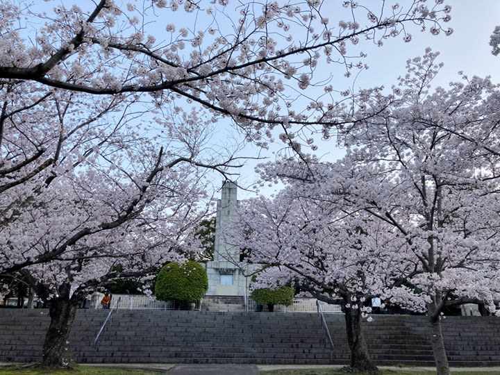 平和公園の桜 北九州市小倉北区 九州神社紀行 ブログ