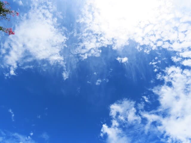 天高く青空に浮かぶ白い雲