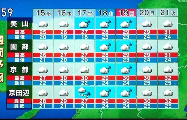 雨は いつまで続く ダンポポの種