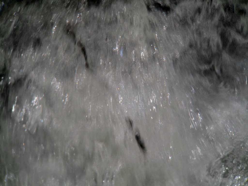 鮎の川①の画像