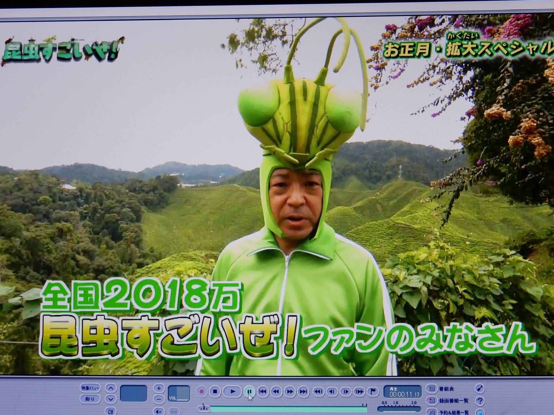 昆虫すごいぜ 特別編 カマキリ先生 マレーシアへ行く オープニング Konasukeの部屋 昆虫すごいぜ 特別編 カマキリ先生 マレーシアへ行く オープニング Konasukeの部屋