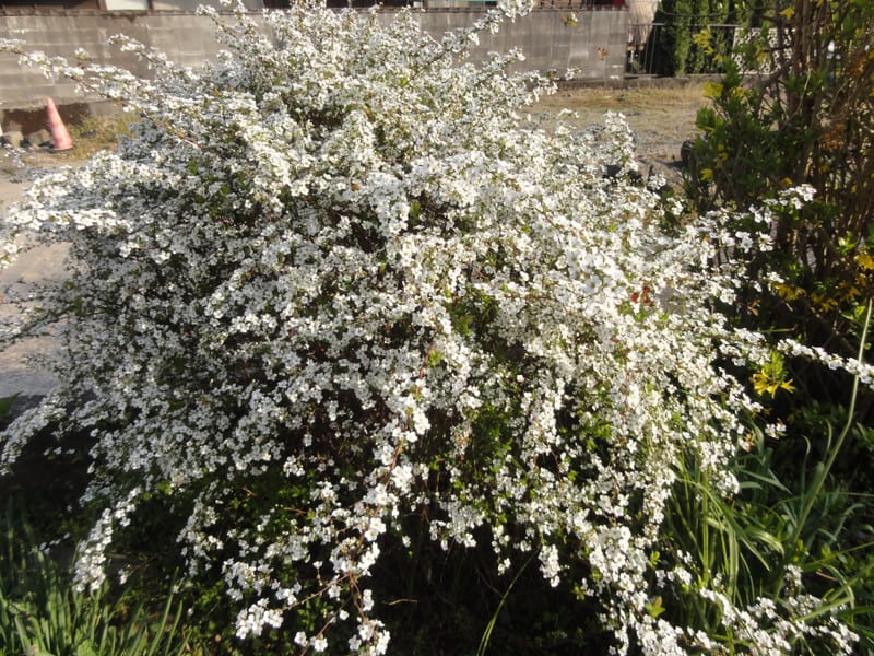 Dsc00538 Dsc00538