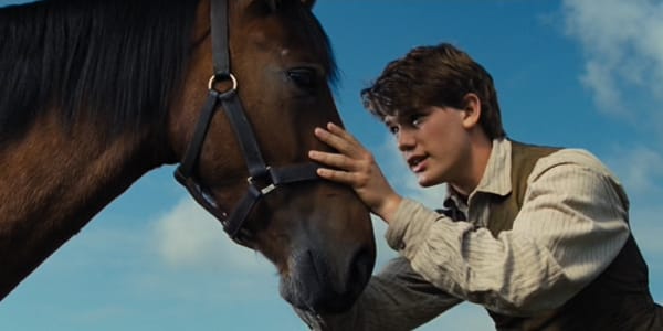 馬と少年