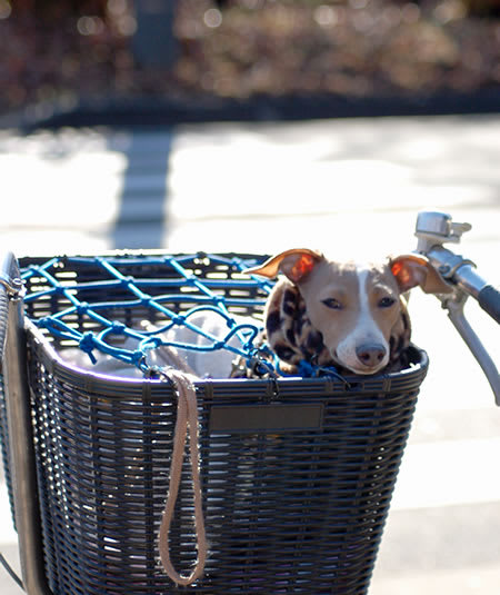 自転車用の防犯ネット