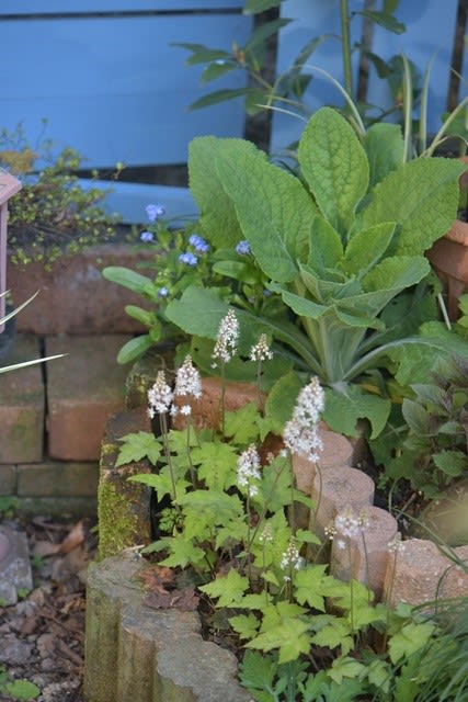レイズベット 花壇の土留め を よりオシャレにより使いやすく 小さな庭の小さな幸せ チャッピーのバラ庭より
