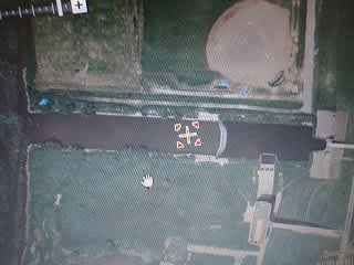 うなぎ釣りに行ってきた ８ 江戸川 W じゅんぞうは海が好き