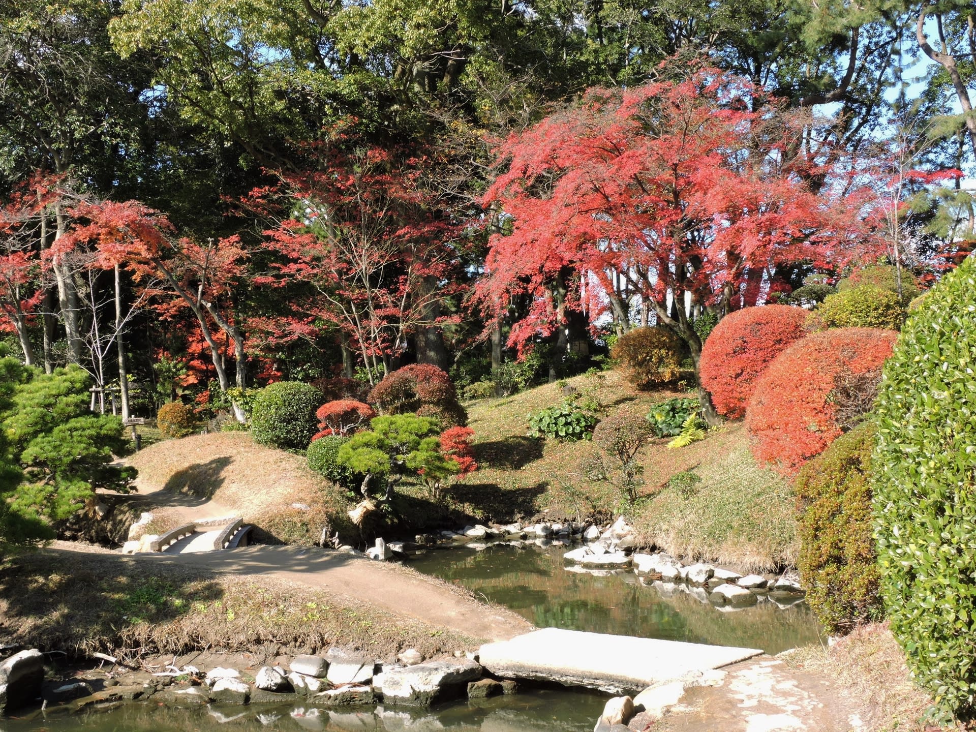縮景園の秋 美しい紅葉風景 綺麗な写真 日々出来事