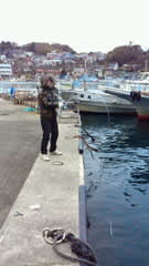 第13回しこたまｆ ｃ In 真鶴港 相模川 小出川 お外で遊ぼ