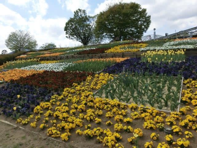 ゆるキャン の聖地を行く2 その7 笛吹フルーツ公園のカフェ 気分はガルパン ゆるキャン ゆるキャン の聖地を行く2 その7 笛吹フルーツ公園のカフェ 気分はガルパン ゆるキャン