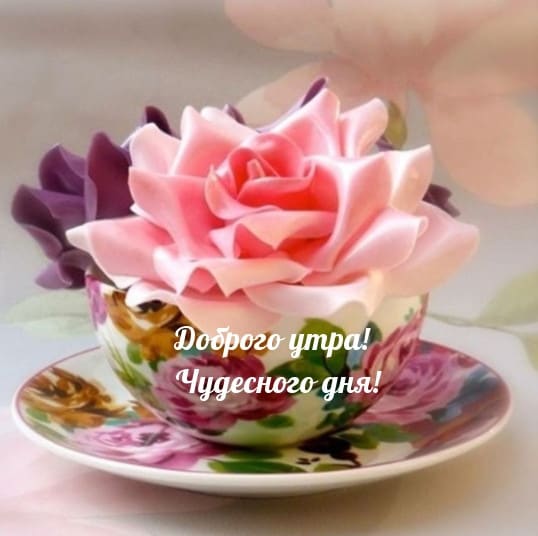 ロシア語は世界語という認識 怠慢主婦 ドイツで同居 ロシア語は世界語という認識 怠慢主婦 ドイツで同居