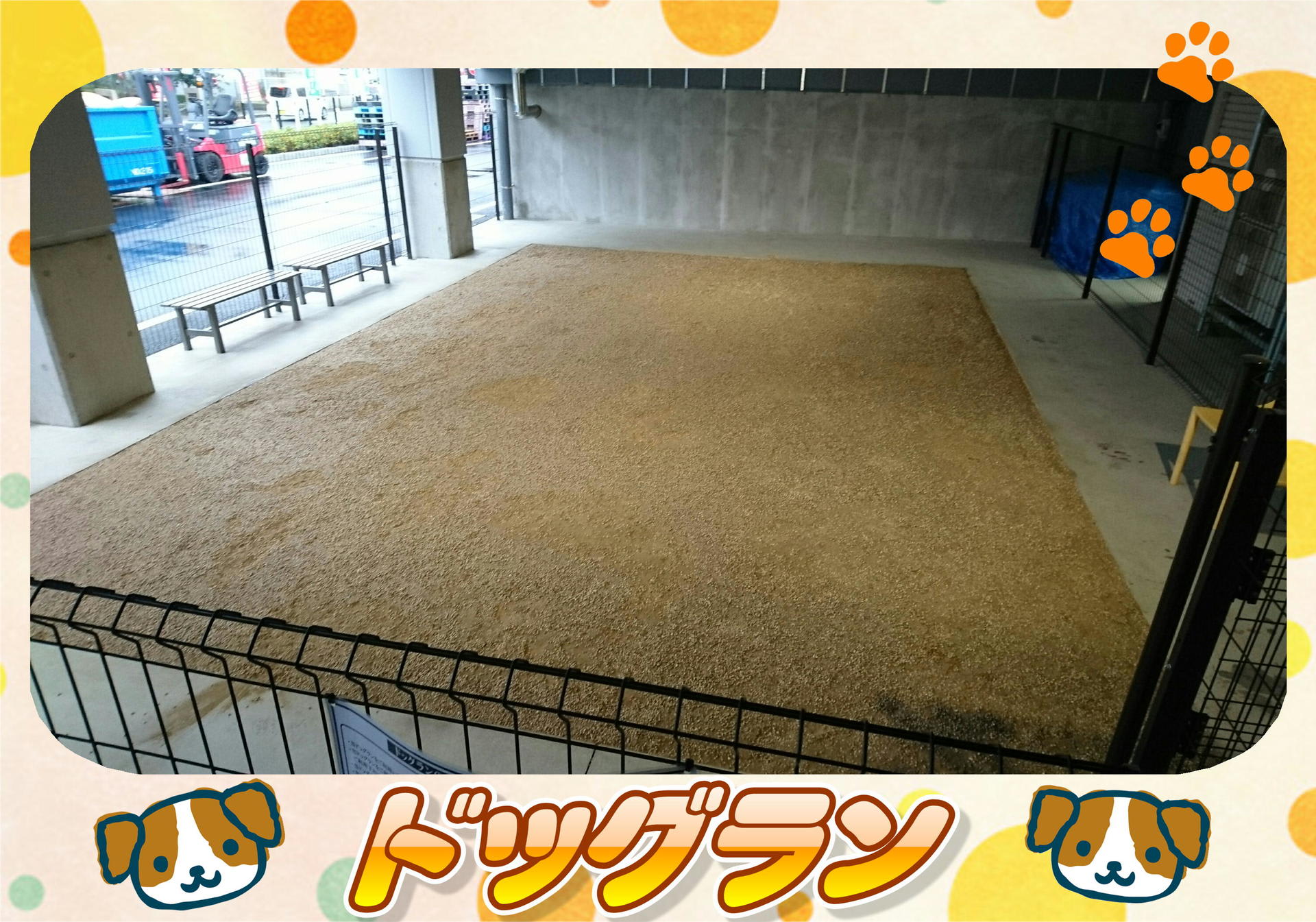 16年12月のブログ記事一覧 ペピカファミリー松戸店 Pepica Family 16年12月のブログ記事一覧 ペピカファミリー松戸店 Pepica Family