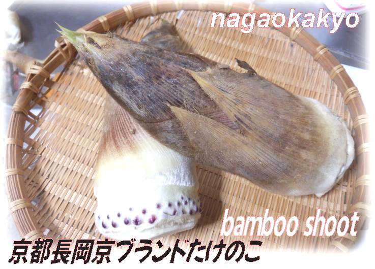 長岡京ブランド筍は300年の歴史・・奥深い男の筍料理・・・bamboo shoot - いげのやま美化クラブ