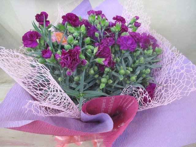 母の日カーネーション7寸鉢を入荷致しました 母の日プレゼント用 神奈川県 茅ケ崎市の花屋 さんこう生花店 のgooブログ