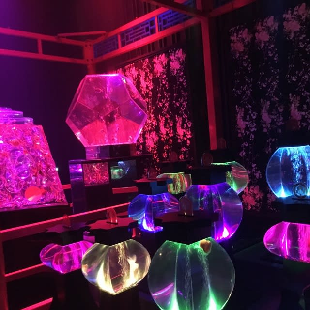 アートアクアリウム Salon De Bonami Official Blog