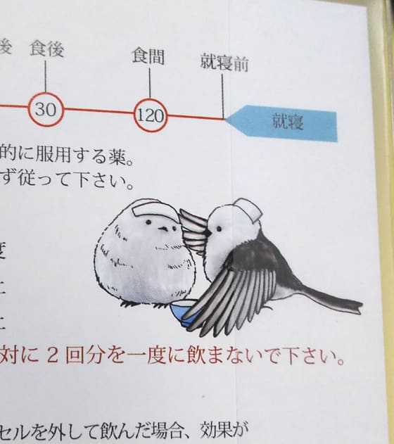 イメージ 5