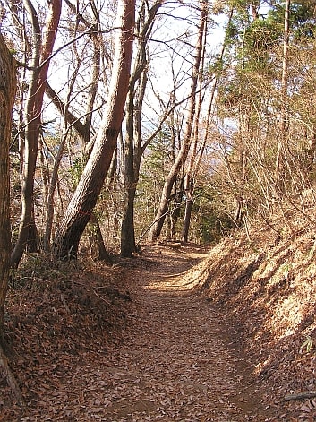 高尾山　小仏城山