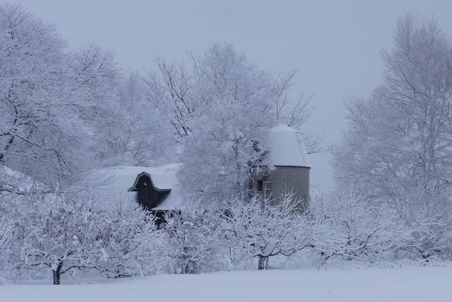 農村の雪.JPG