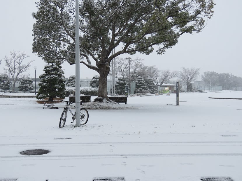 自転車 雪 道