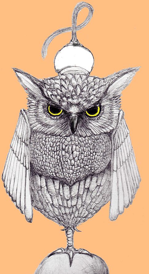 crown_owl