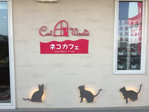 ネコカフェに行ってきました パソコン楽習館スタッフブログ