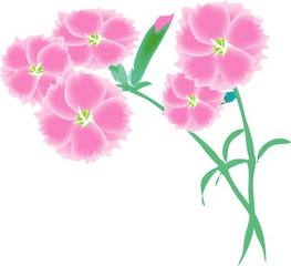 Yosigamoイラスト なでしこ 姉遠方より来る Yosigamo Sakura の いけ花ガーデニング 緑 風 陽 と 花イラスト