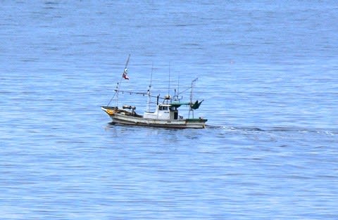 マグロ一本釣り船 津軽海峡 お湯の国 日本