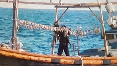 2018 11 20 日本海の烏賊を獲り尽くす北朝鮮【保管記事】
