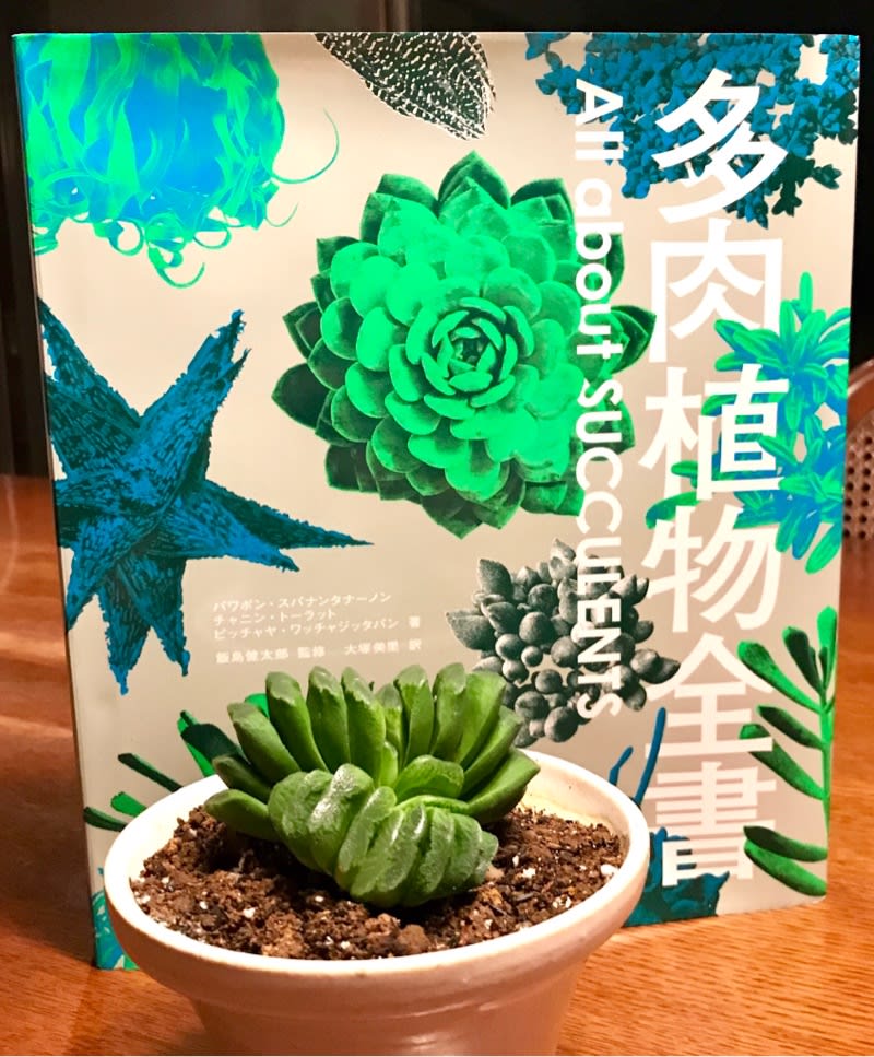 多肉植物全書 All About Succulents 多肉植物専門店ビスタ公式ブログ 埼玉県深谷市発