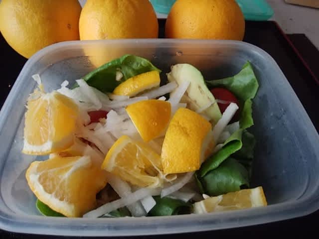 皮まで食べられるレモン おいしいごはん