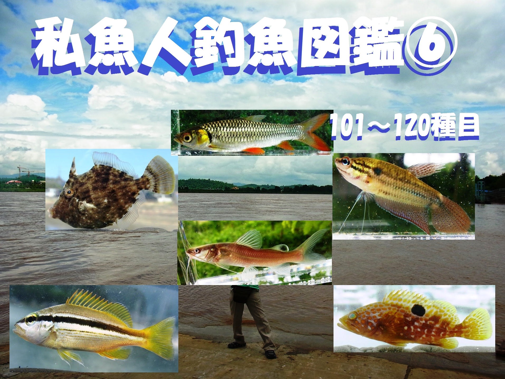 私魚人釣魚図鑑 定年親父の魚三昧 タナゴ仕掛けで釣った生き物１２０種達成記念号 私魚人 あいうおんちゅ 定年親父の魚三昧 タナゴ 仕掛けとガサで出会った魚たち