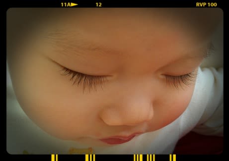 ママも こんなに長いまつ毛が欲しいッ フォト日記 ママも こんなに長いまつ毛が欲しいッ フォト日記