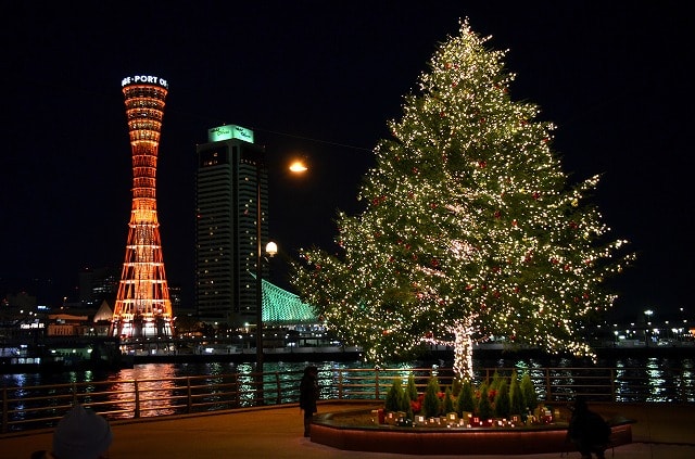クリスマス イルミネーション 神戸 12 12 なごみの花屋さん