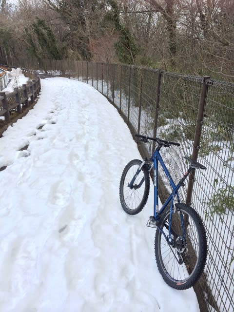 いちゃりばちょーでー