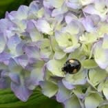 RIMG0005_20120604003025.jpg