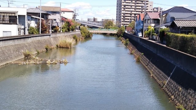 新坂川下流へ ていいち日記