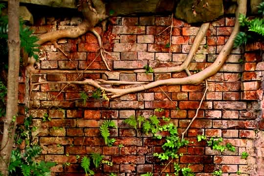 05年10月のブログ記事一覧 黒沢永紀オフィシャルブログ 旧 廃墟徒然草