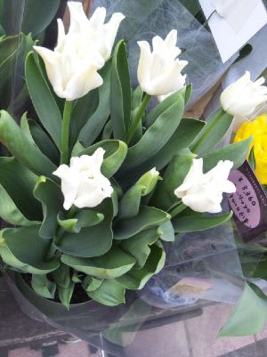 12年2月のブログ記事一覧 Chaka With Webfriends Blog